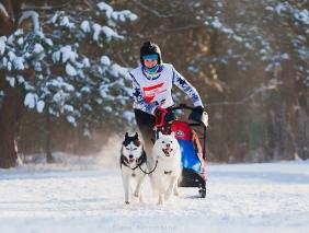Алтай : Гонка на собачьих упряжках По седому Алтаю 2021 : Радыгина Татьяна. Нарта-спринт СЕС