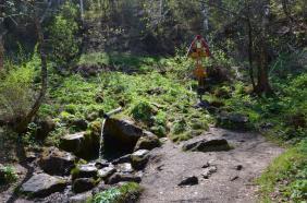 Горный Алтай : Что посмотреть рядом с Соузгой : Черемшанский водопад : Родник по дороге к водопаду