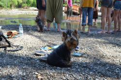 Горный Алтай : Первый летний фестиваль Байана 2014 : Участник фестиваля ))