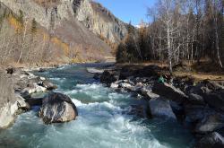 Горный Алтай : Золотая осень на Алтае : Чуя перед порогом Бегемот