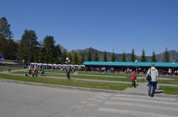 Отдых на Алтае : Праздник «Цветение маральника» : Ярмарка на Бирюзовой Катуни