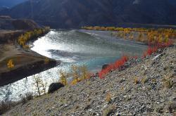 Горный Алтай : Золотая осень на Алтае : Слияние Чуи и Катуни