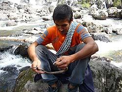 Горный Алтай : Алтаеведение : Проводник со щитомордником