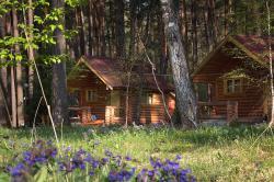 Отдых на Алтае : Турбаза «ТопЛес» : Бревенчатые домики