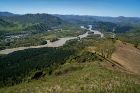 Горный Алтай : Тропа Сокол : Над Катунью