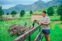 Горный Алтай : Отдых с детьми : Что посмотреть в районе Чемала : Контактный зоопарк 