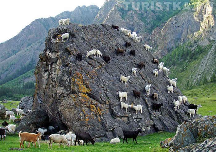 «Люди добрые, снимите нас отсюда!»