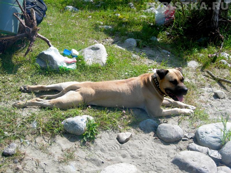 «Таити, Таити... А нам и тут хорошо!»