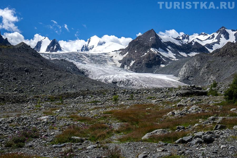 Софийский ледник