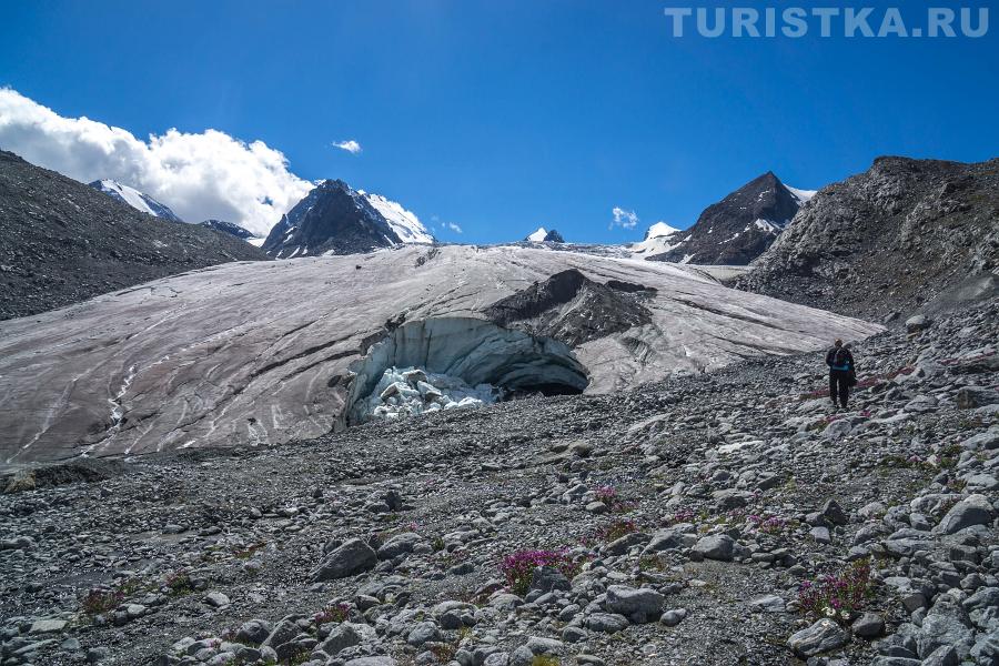 Софийский ледник