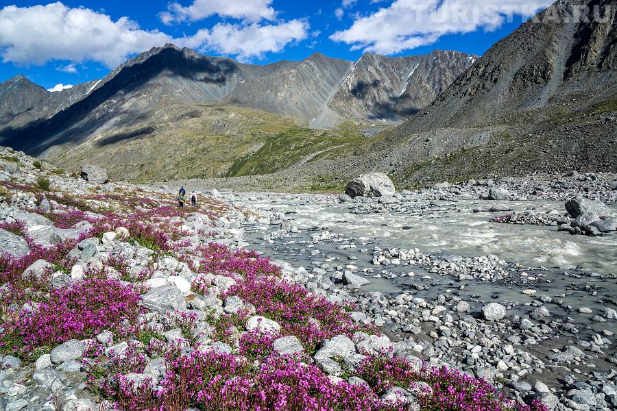 Долина реки Ак-Коль около Софийского ледника