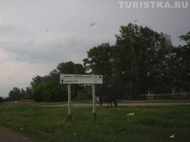 Указатель к базам