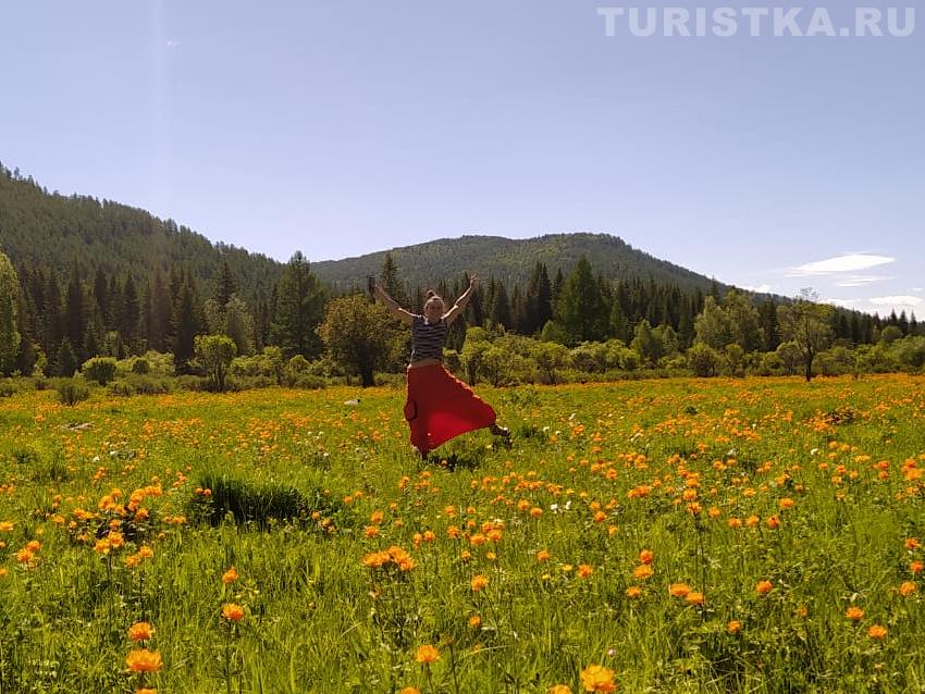 Поляна огоньков перед Семинским перевалом
