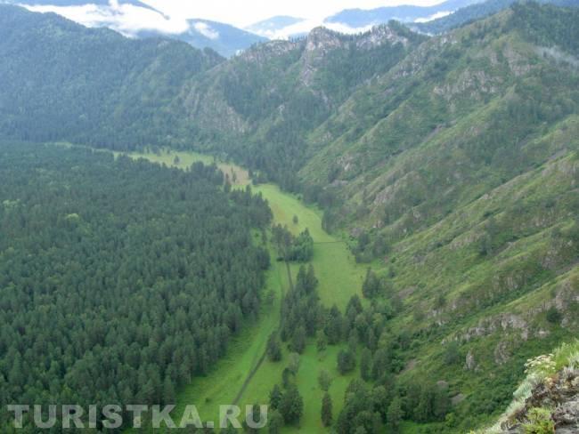 Аскатский бор у Семинского хребта