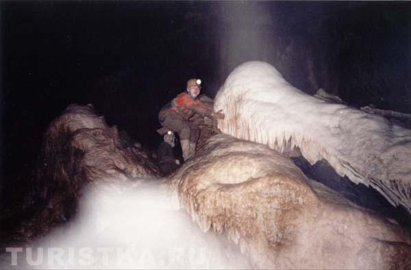 Натечка Медуза