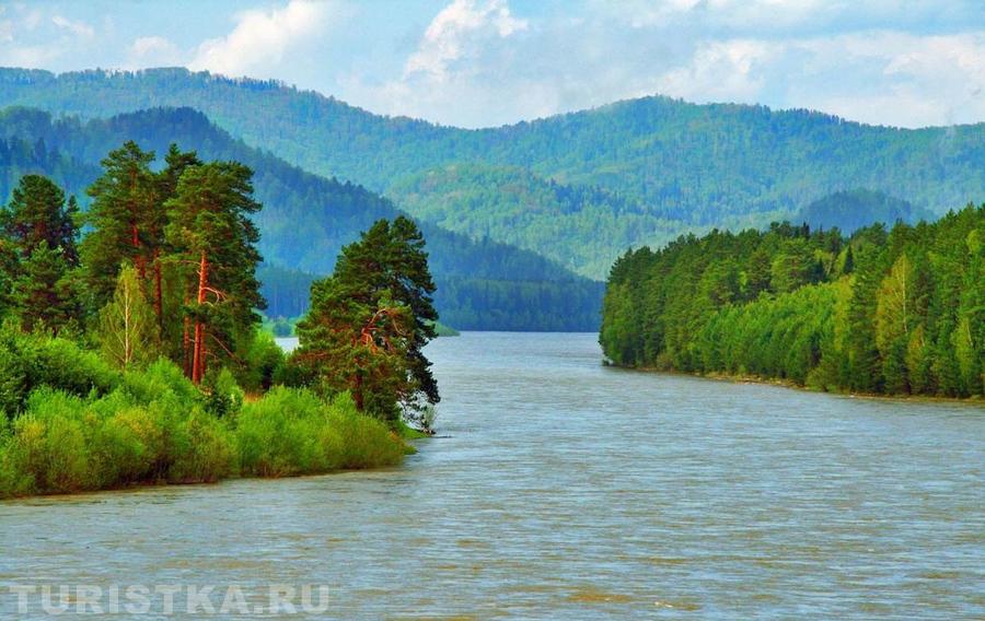 Рафтинг река Бия Горный Алтай тур 2022 г