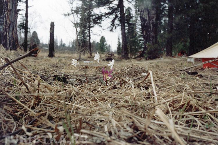 Вход в пещеру Туткуш