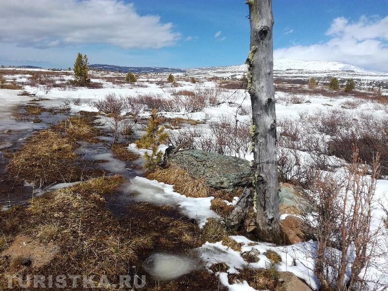 Семинский перевал вблизи горы Сарлык