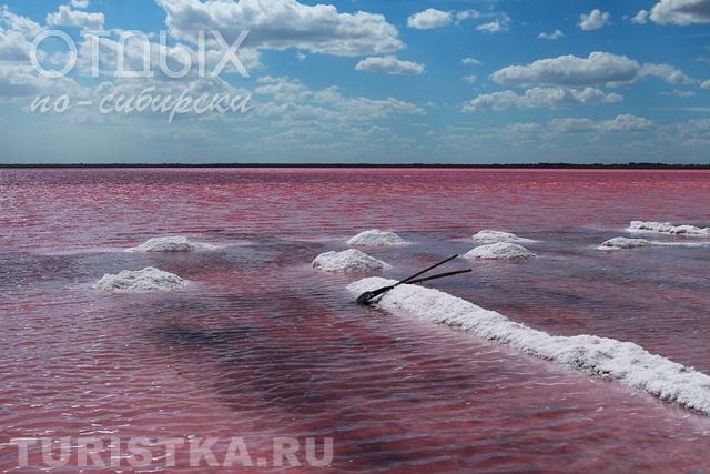 Бурлинское озеро в Алтайском крае