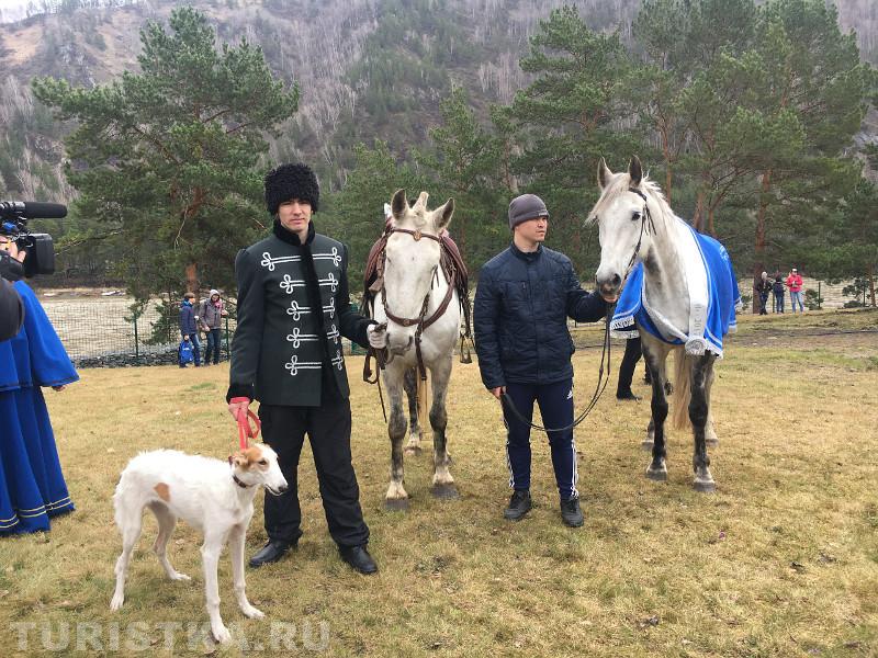 Фестиваль в Алтайском крае Цветение маральника 2018