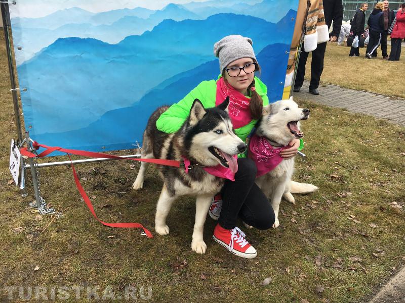 Фестиваль в Алтайском крае Цветение маральника 2018