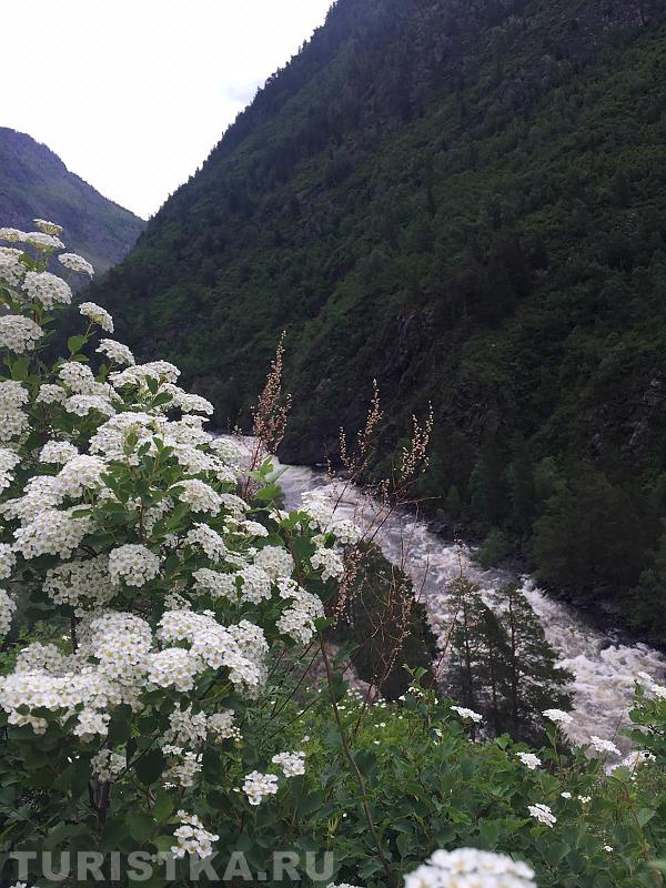 Река Чульча по дороге к водопаду