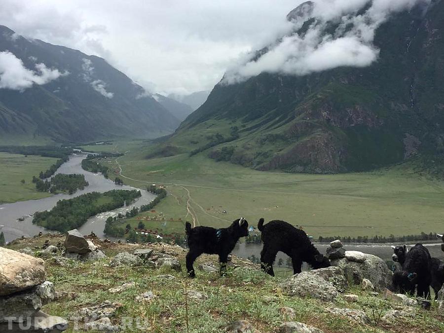 Вид на долину Чулышмана по дороге на Учар