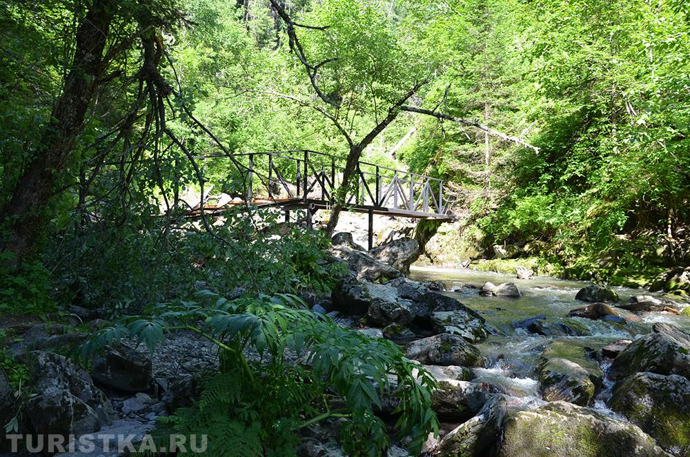 Эко-тропа на Третьей речке