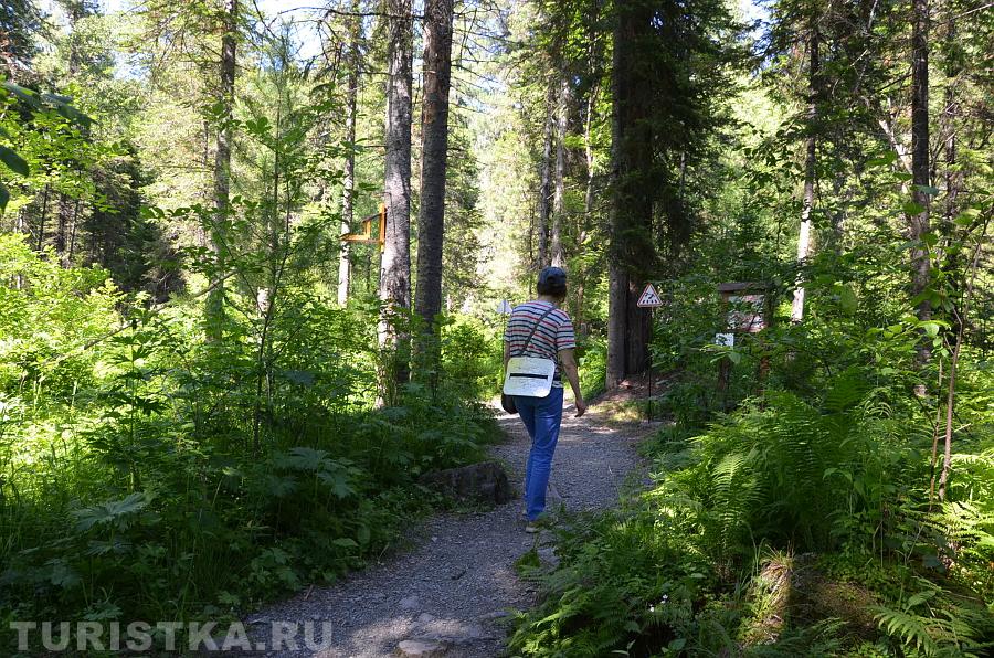 Эко-тропа на Третьей речке