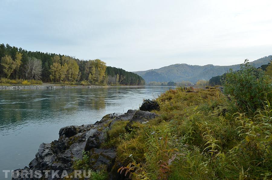 Река Катунь в селе Соузга