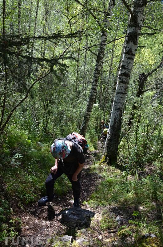 Подъем в лощине