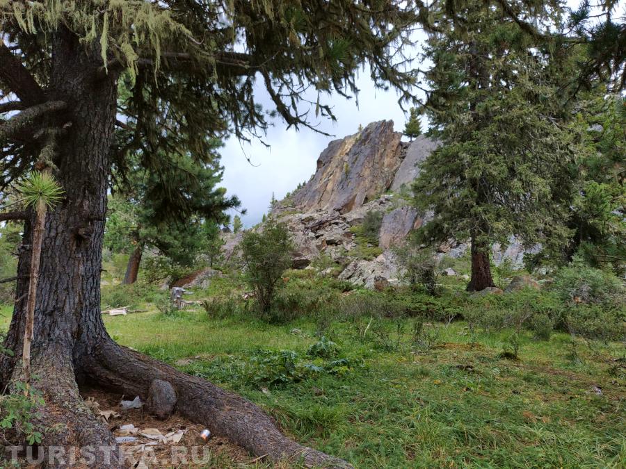 Скалы Ласточкино гнездо 