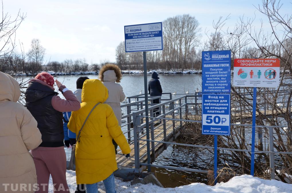 Лебединое озеро на Алтае