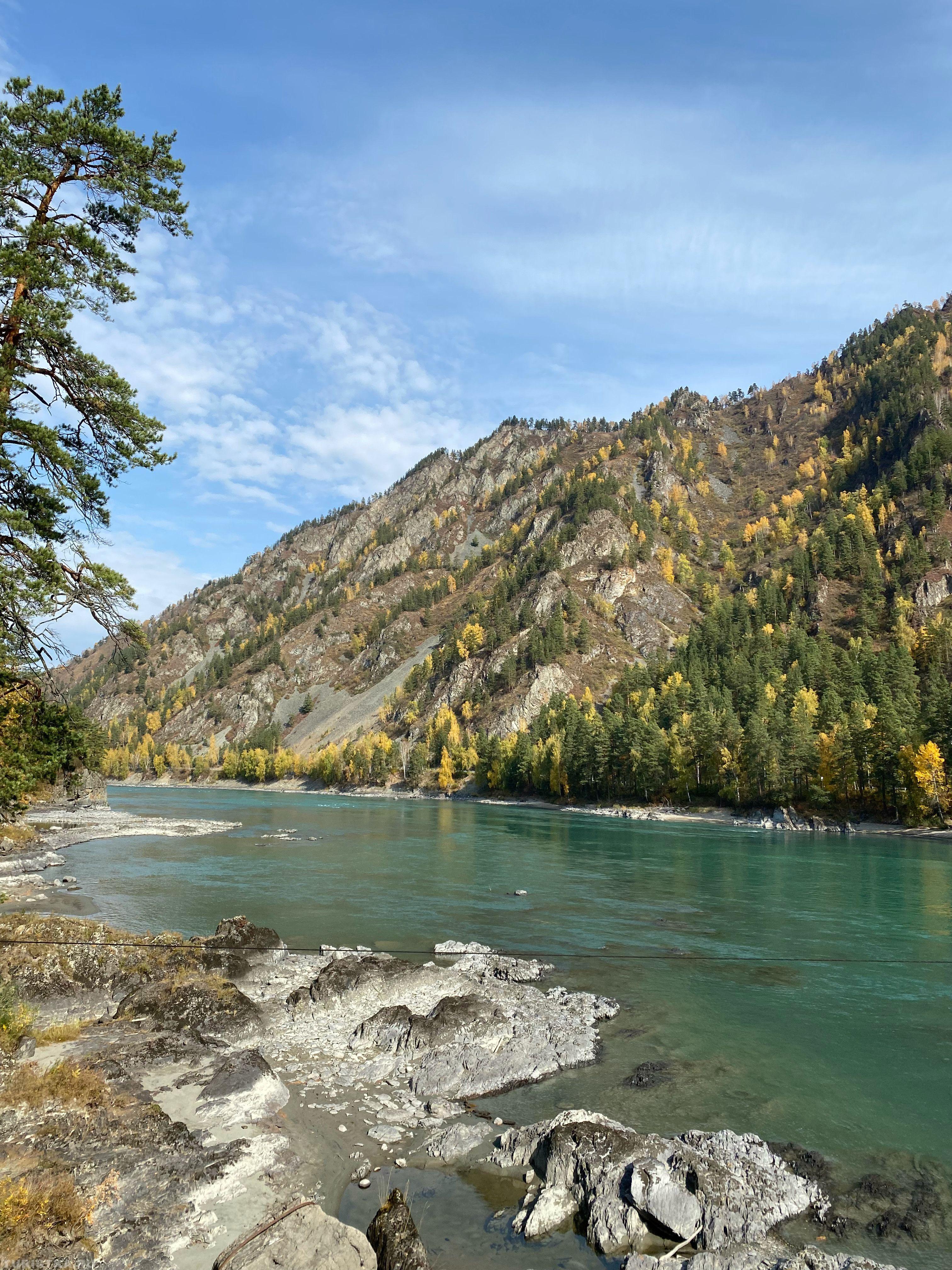 Золотая осень 2024. Царская охота.
