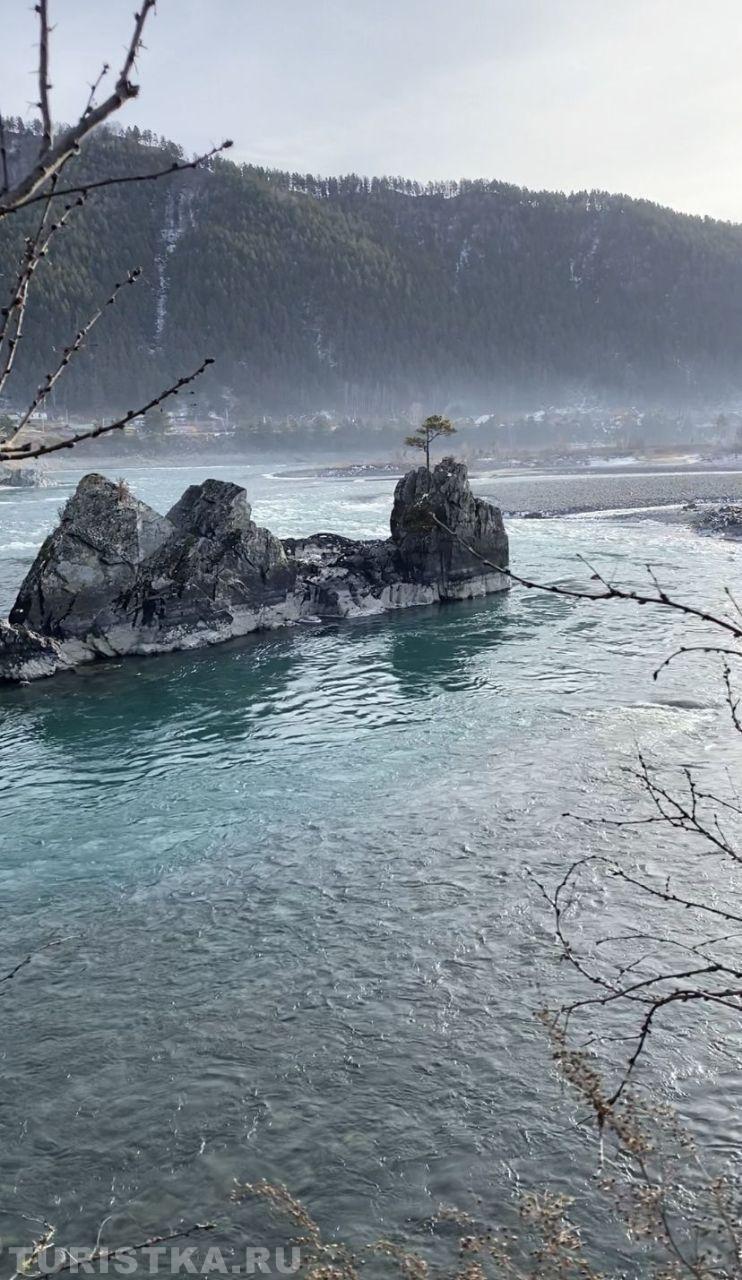 Золотая осень 2024.  Зубы дракона