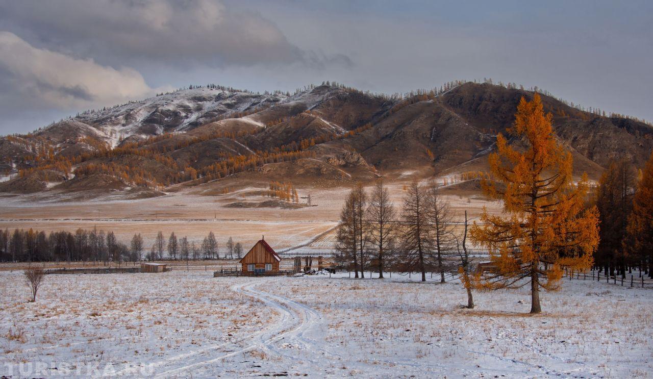 Золотая осень 2024. Уймонская степь.