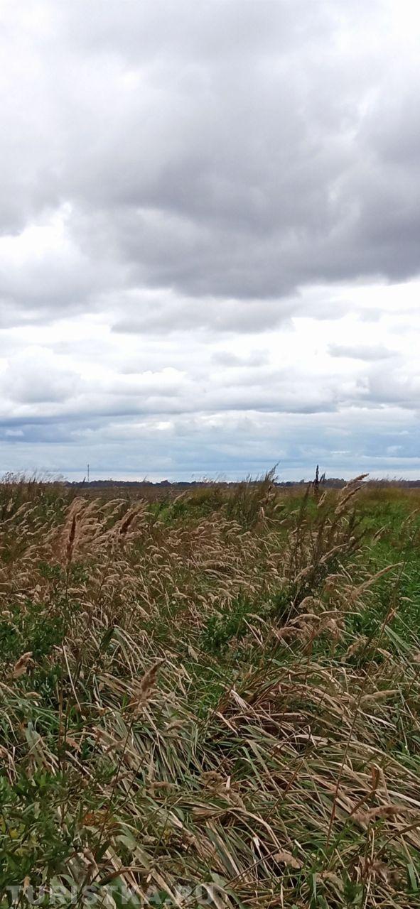 Золотая осень 2024. Осень в полях Алтая. Косихинский район, Алтайский край 