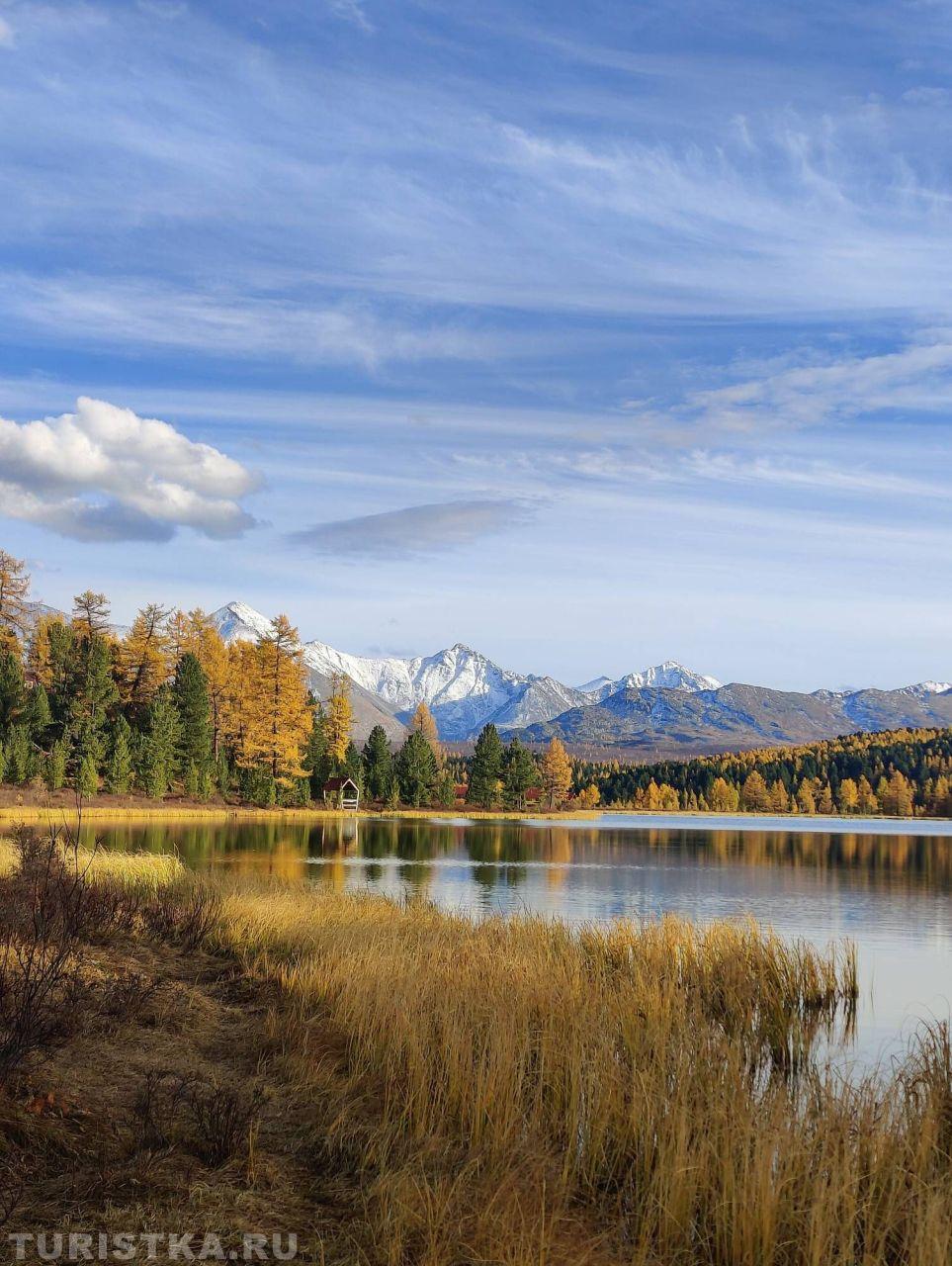 Золотая осень 2024. Осеннее Киделю