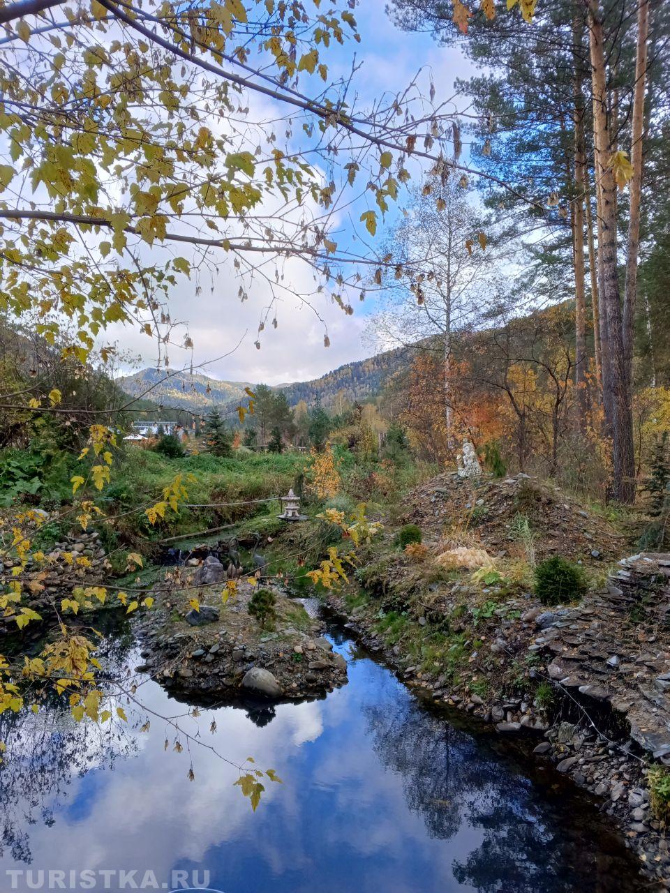 Золотая осень 2024. Сад пионов 