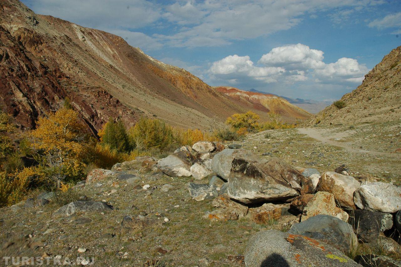 Золотая осень 2024. Марс