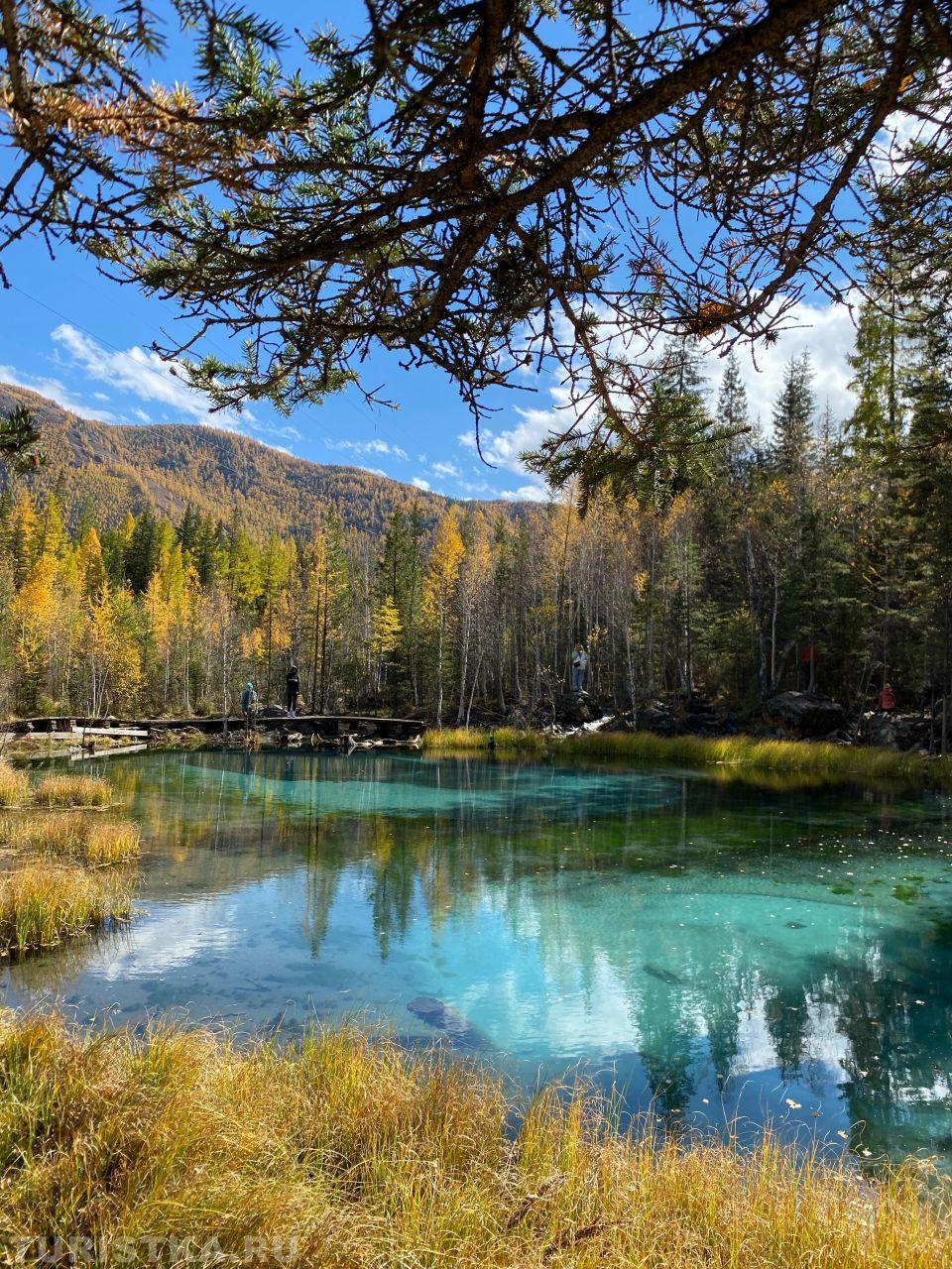 Золотая осень 2024. Гейзеровое озеро 