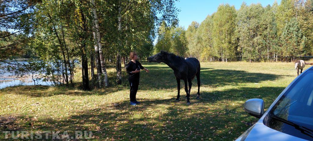 Смехотурики 2025. Автор Жилина Людмила, р. Бия, по дороге на Телецкое