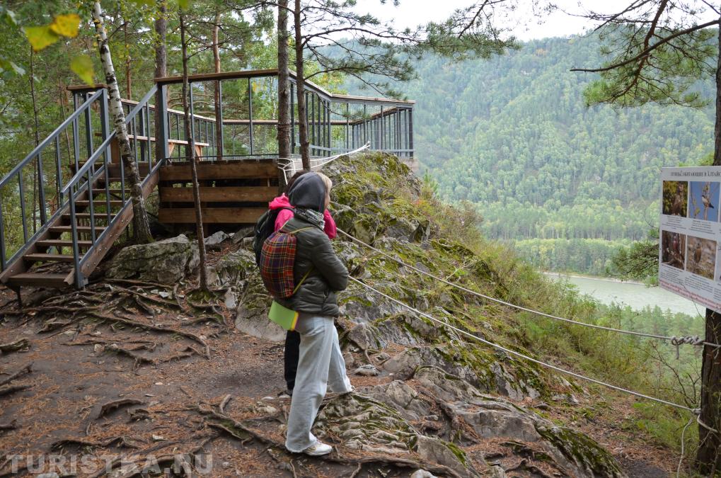 Смотровая площадка