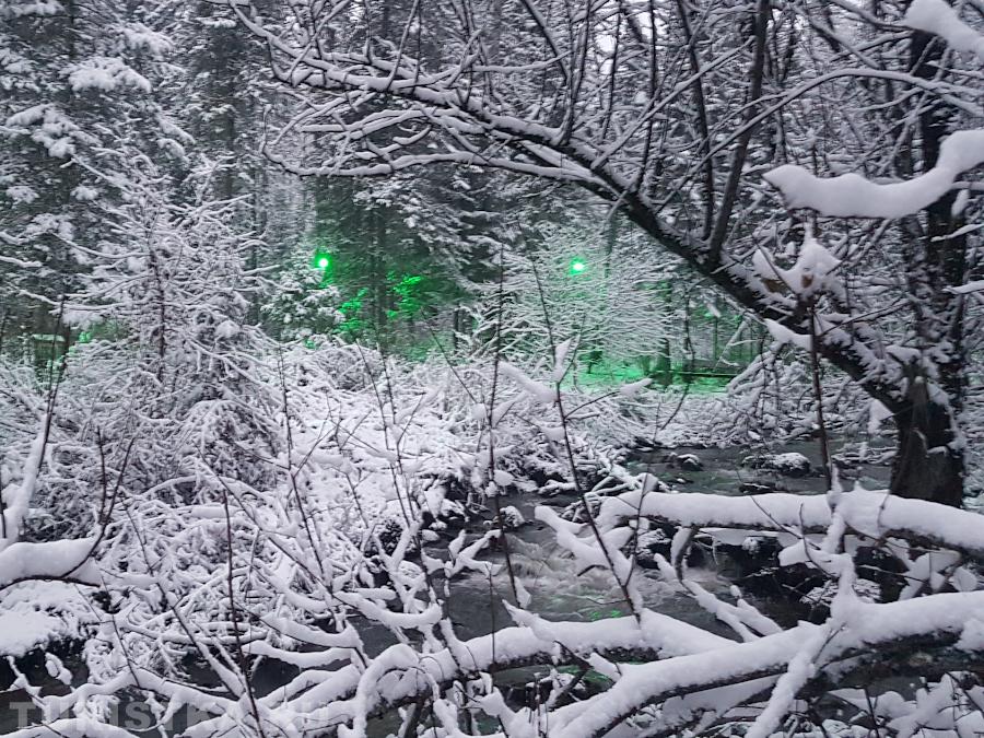 Фонари вдоль тропы на Третьей речке