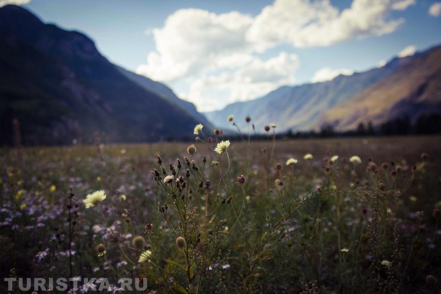 Дорога от Чибитского водопада до Большого Уларского водопада