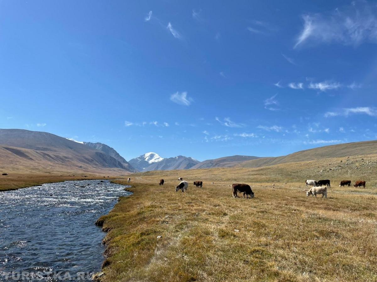Алтай ничем не хуже Швейцарии, даже лучше!