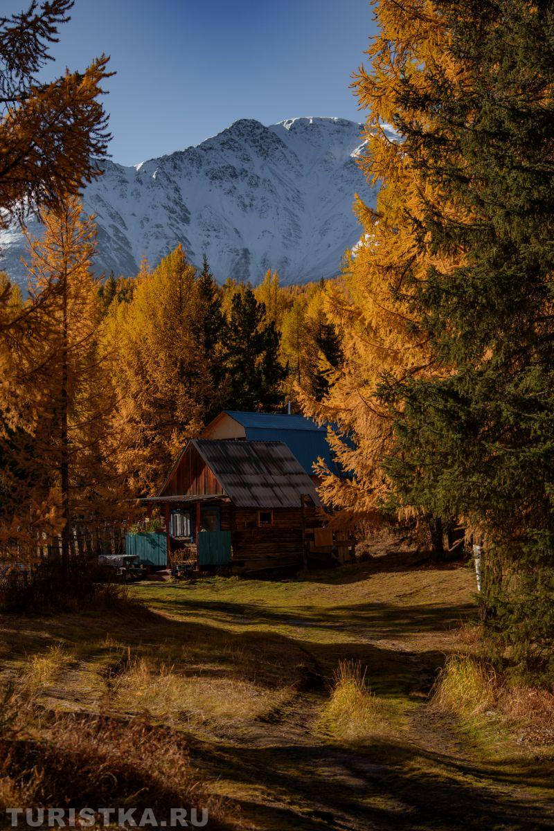 Алтай. По дороге на Актру 25.09.2025