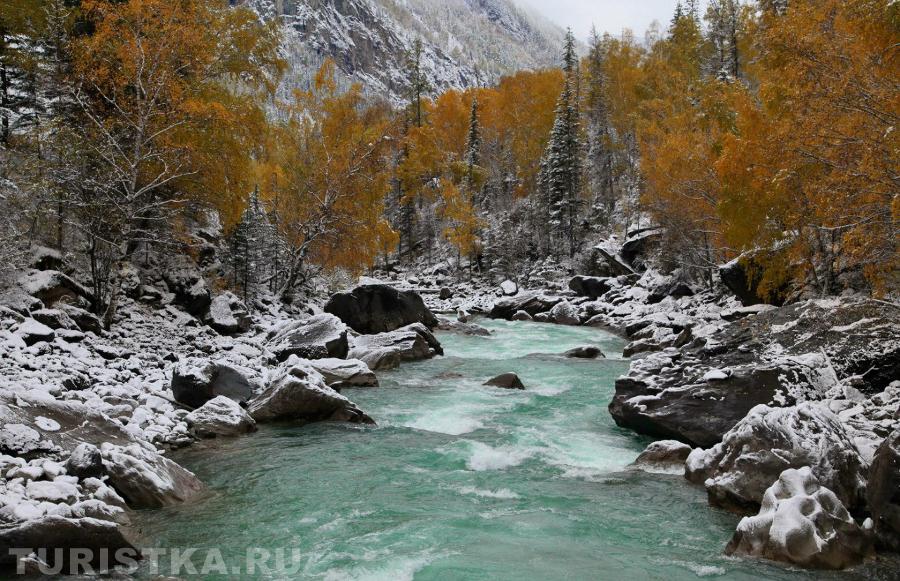 Стражи серебра и злата. Река Чуя.