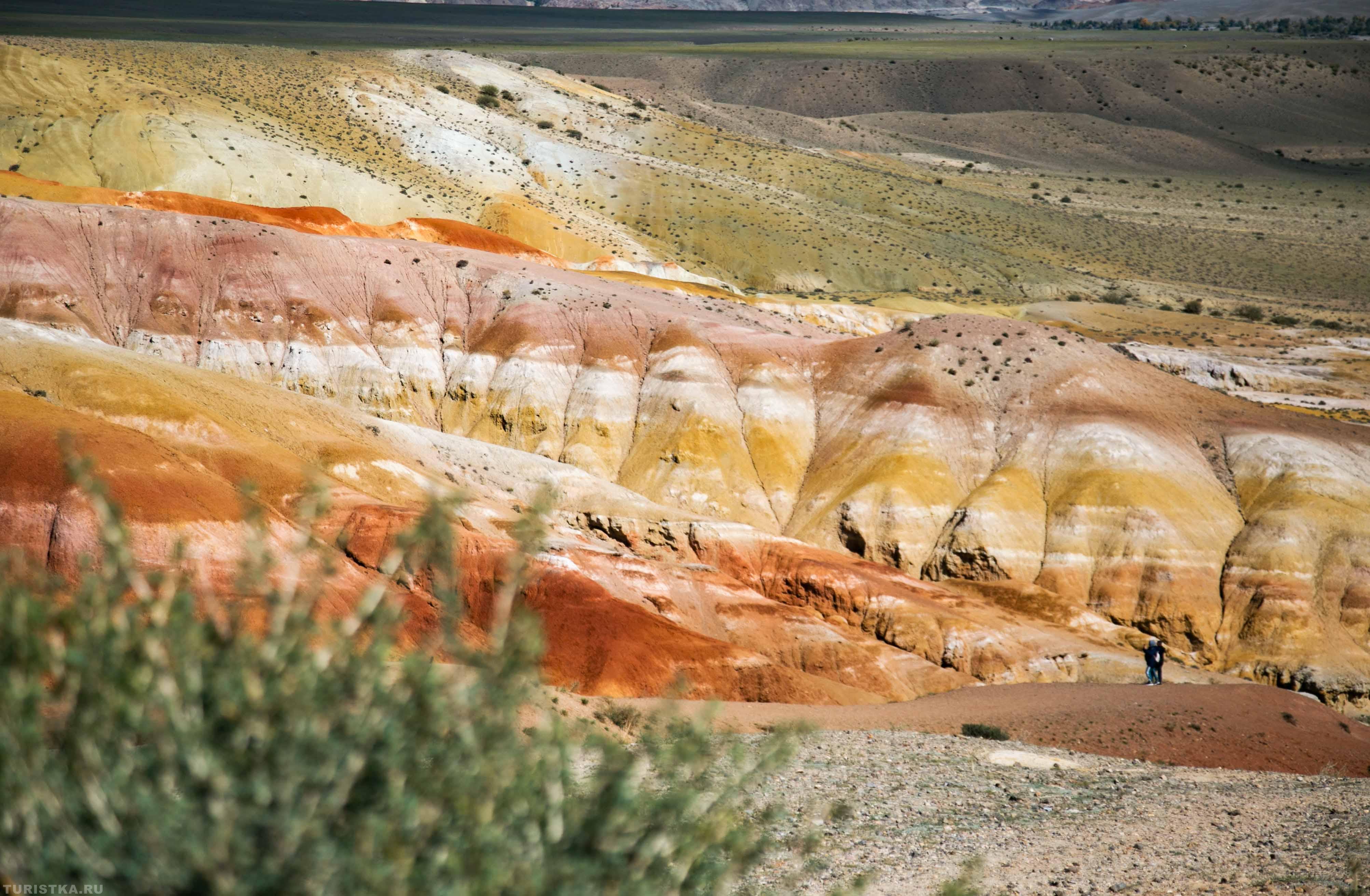 Марс на Алтае