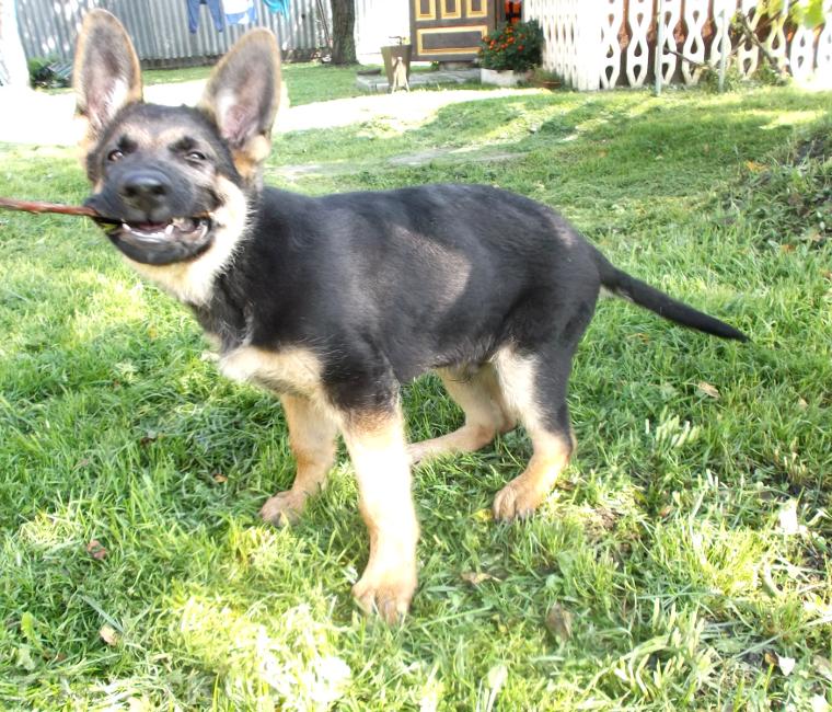 "Улыбнуло" Фото Харькова Е. #смехотурики2017